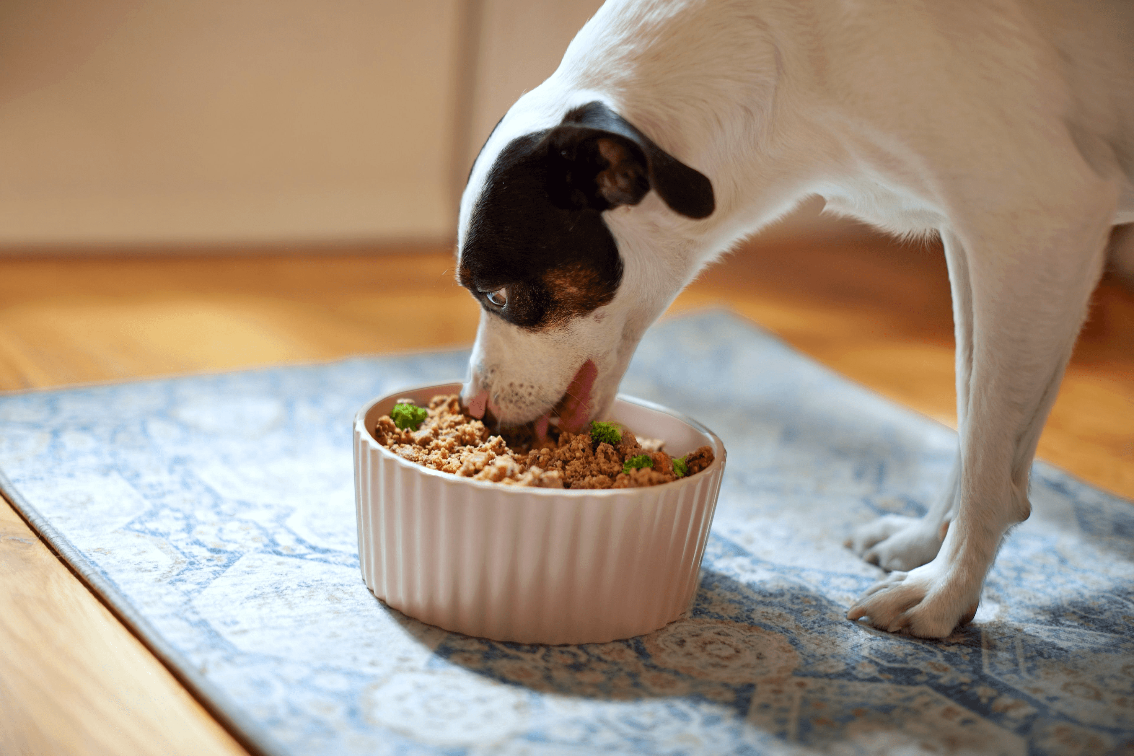 PetPlate